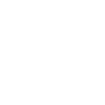 Chewy, Inc. Class A Common Stock