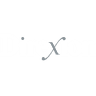 Direxion Daily TSLA Bull 2X Shares
