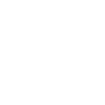 UnitedHealth Group Incorporated Common Stock (DE)
