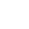 ZIM Integrated Shipping Services Ltd. Ordinary Shares